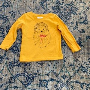 3T Long Sleeve Hedgehog Hanna Andersson shirt